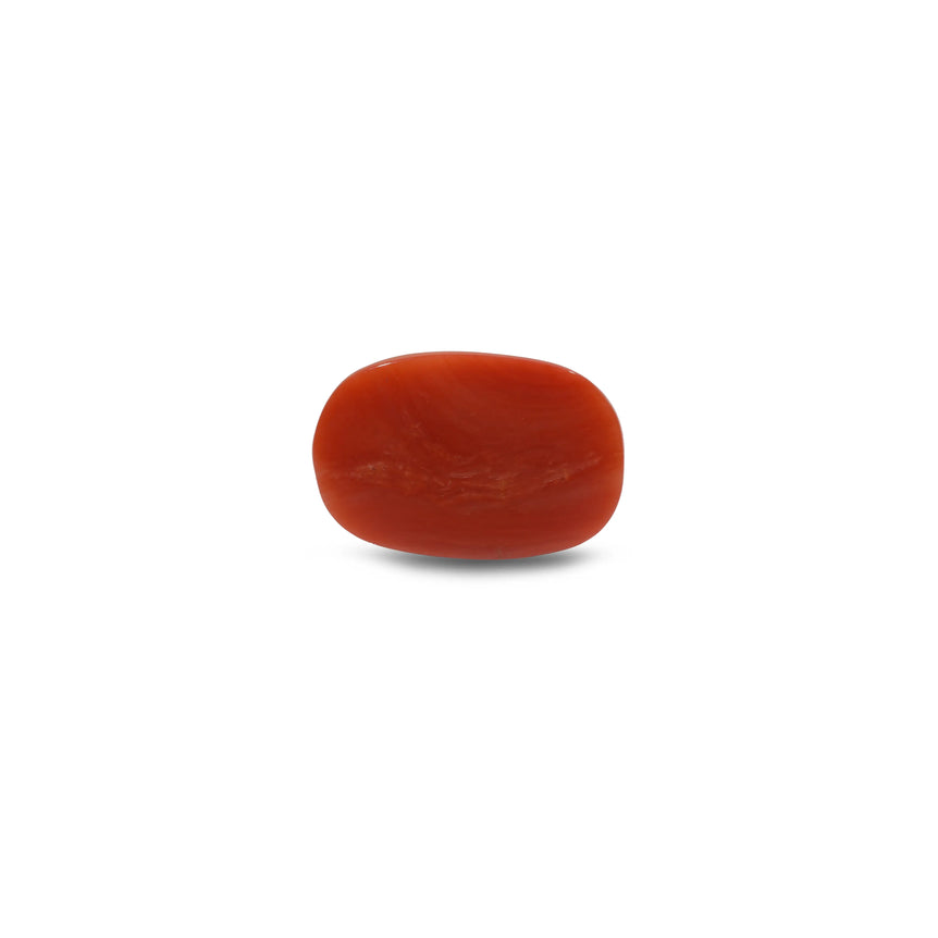 Red Coral - 10.7 Carat