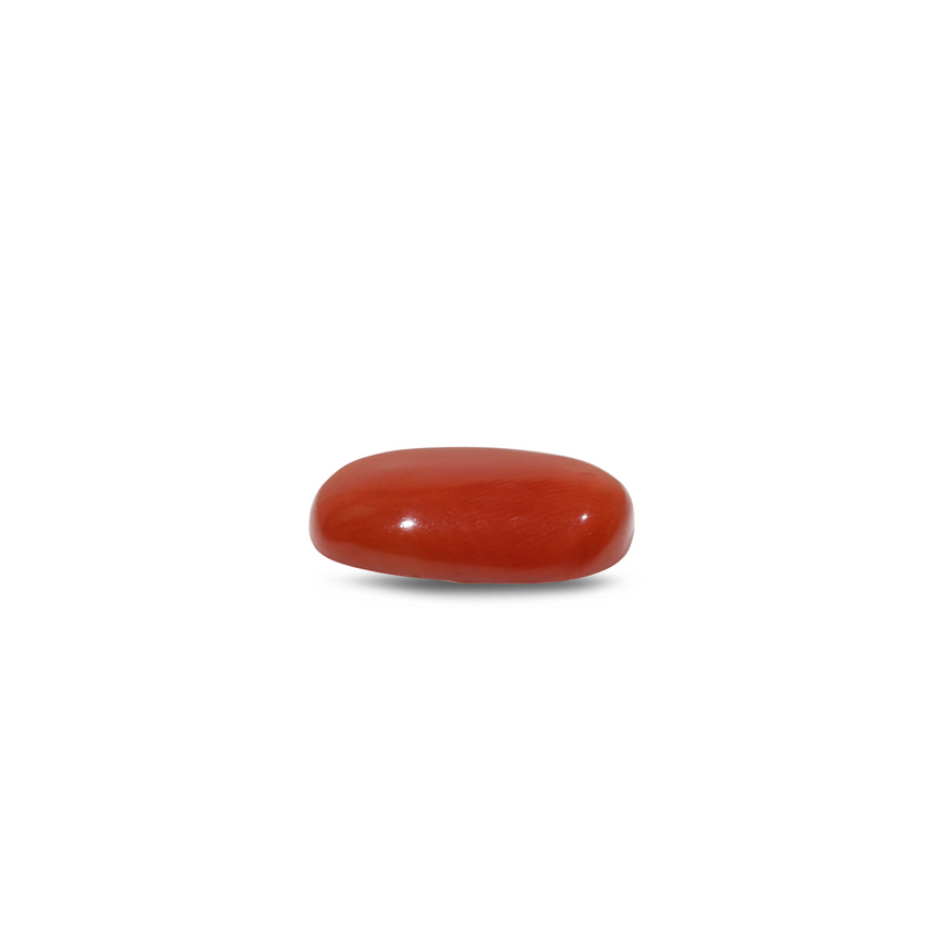 Red Coral - 10.7 Carat