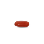 Red Coral - 10.7 Carat