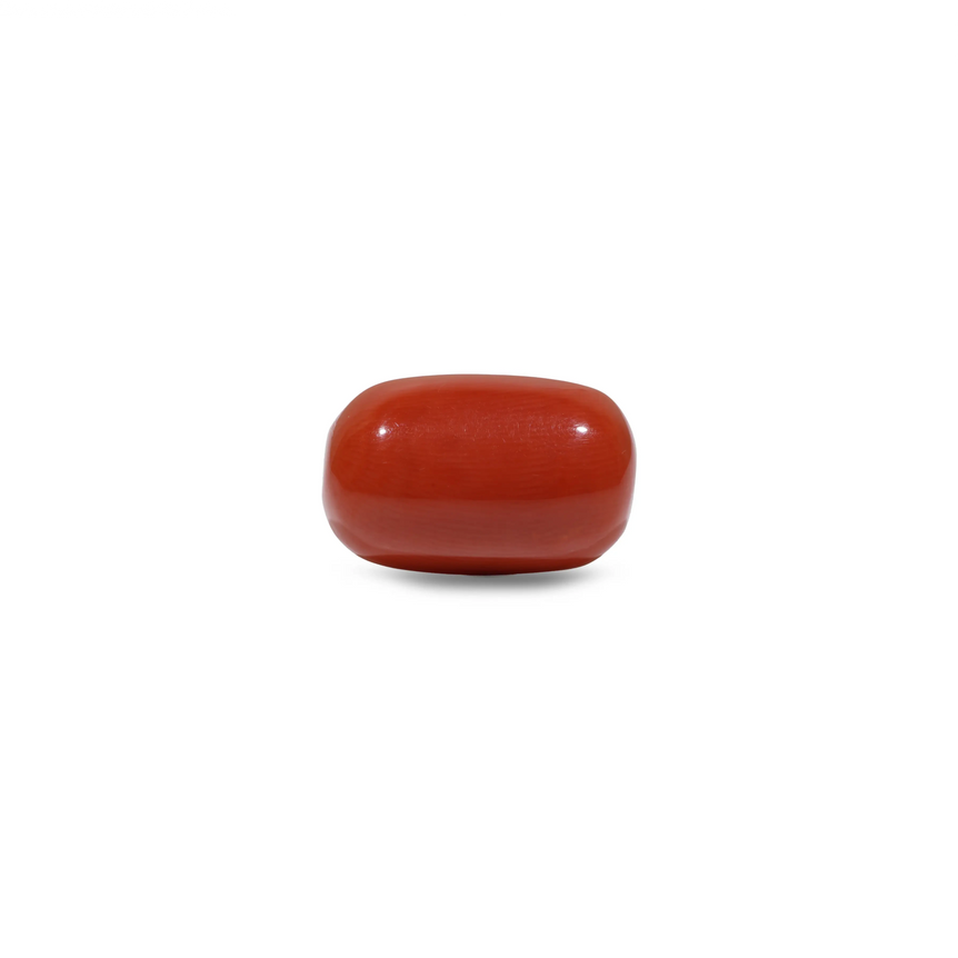 Red Coral - 11.7 Carat - Pramogh