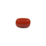 Red Coral - 11.7 Carat - Pramogh