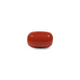 Red Coral - 11.7 Carat - Pramogh