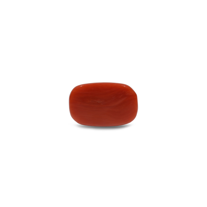 Red Coral - 11.7 Carat