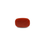 Red Coral - 11.7 Carat