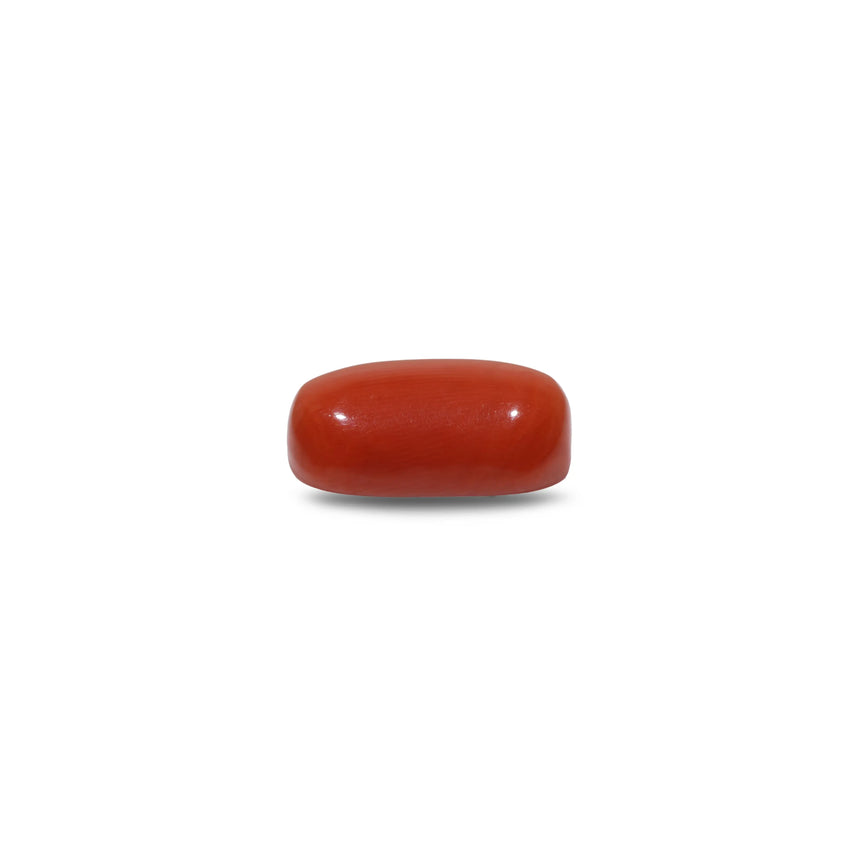 Red Coral - 11.7 Carat