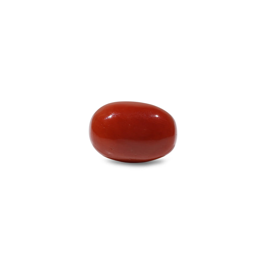 Red Coral - 13.2 Carat - Pramogh