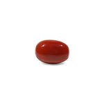 Red Coral - 13.2 Carat - Pramogh