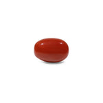 Red Coral - 13.2 Carat