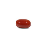Red Coral - 13.2 Carat
