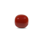 Red Coral - 7.55 Carat - Pramogh