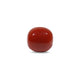 Red Coral - 7.55 Carat - Pramogh