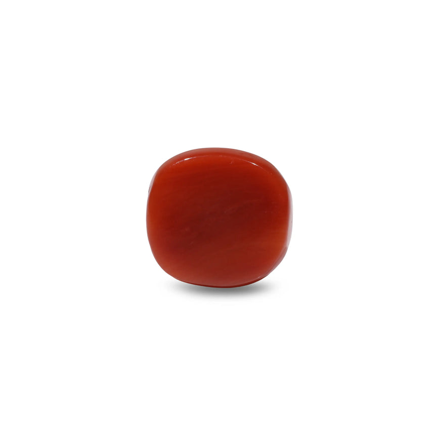 Red Coral - 7.55 Carat
