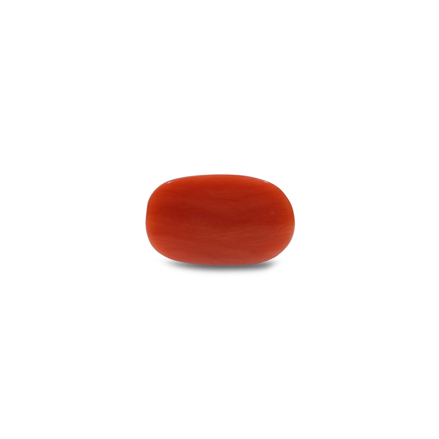 Red Coral - 7.9 Carat