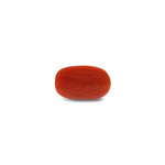 Red Coral - 7.9 Carat