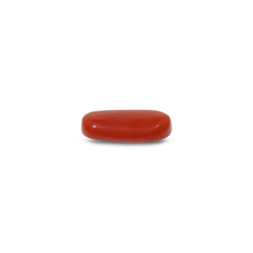 Red Coral - 7.9 Carat