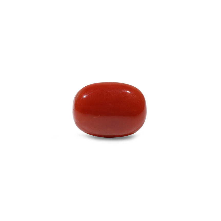 Red Coral - 7.75 Carat - Pramogh