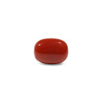 Red Coral - 7.75 Carat - Pramogh