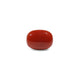 Red Coral - 7.75 Carat - Pramogh