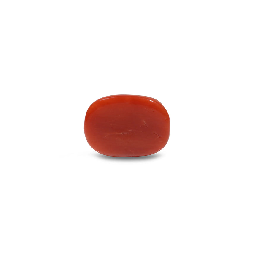 Red Coral - 7.75 Carat