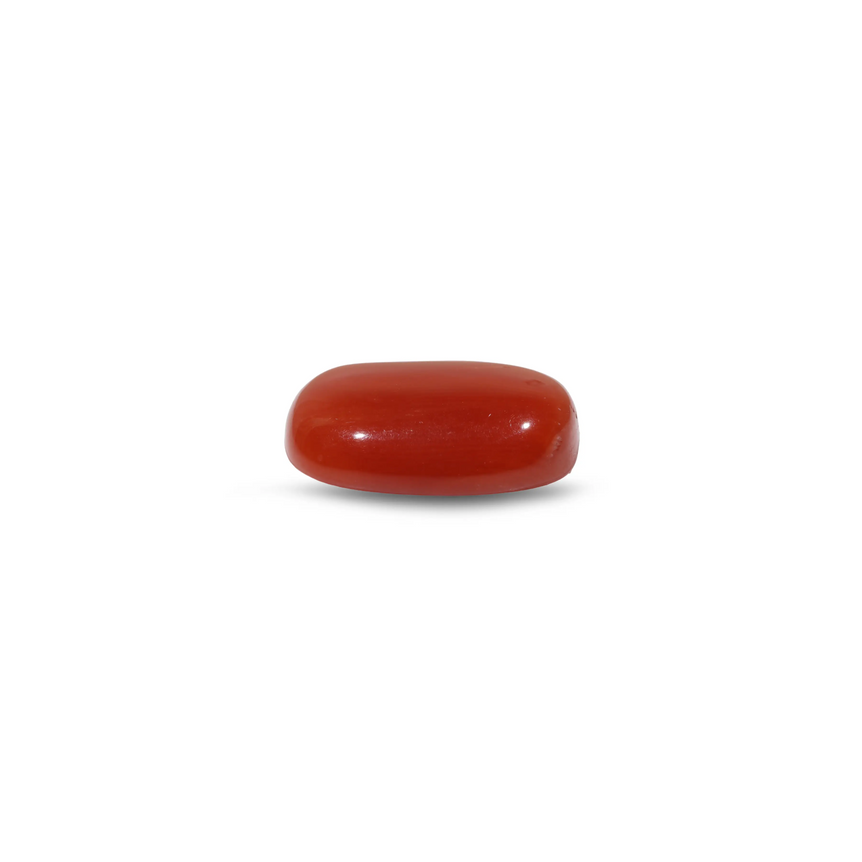 Red Coral - 7.75 Carat