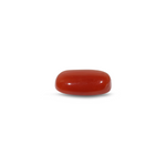 Red Coral - 7.75 Carat