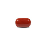 Red Coral - 12.5 Carat - Pramogh