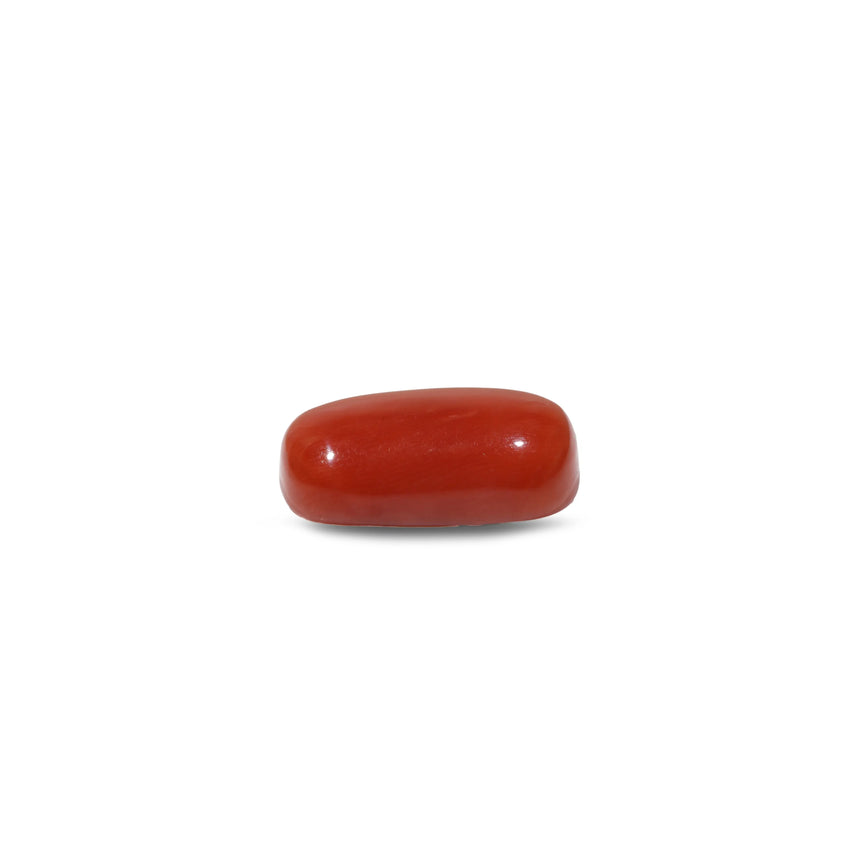 Red Coral - 12.5 Carat