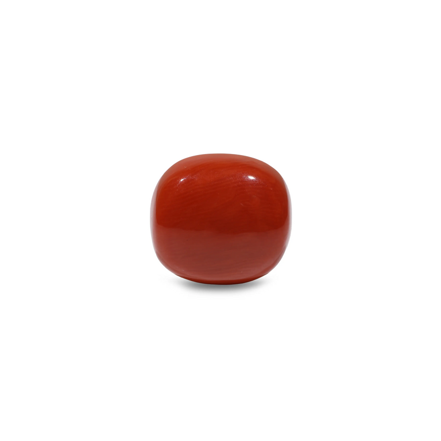 Red Coral - 13.7 Carat - Pramogh