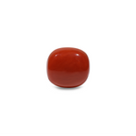 Red Coral - 13.7 Carat - Pramogh