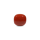 Red Coral - 13.7 Carat - Pramogh