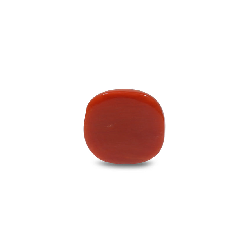 Red Coral - 13.7 Carat
