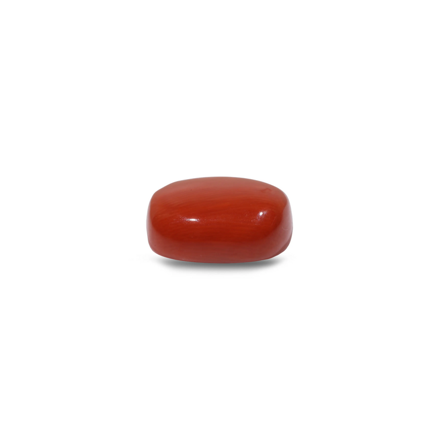Red Coral - 13.7 Carat