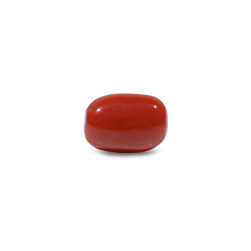 Red Coral - 9.7 Carat - Pramogh