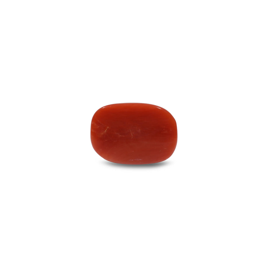 Red Coral - 9.7 Carat