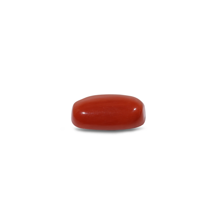 Red Coral - 9.7 Carat