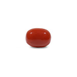 Red Coral - 11.45 Carat - Pramogh