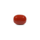 Red Coral - 11.45 Carat - Pramogh
