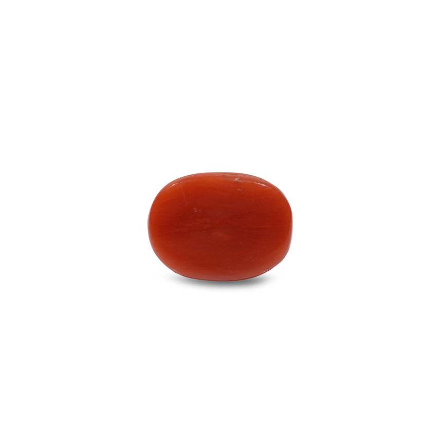 Red Coral - 11.45 Carat