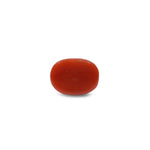 Red Coral - 11.45 Carat