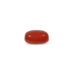 Red Coral - 11.45 Carat