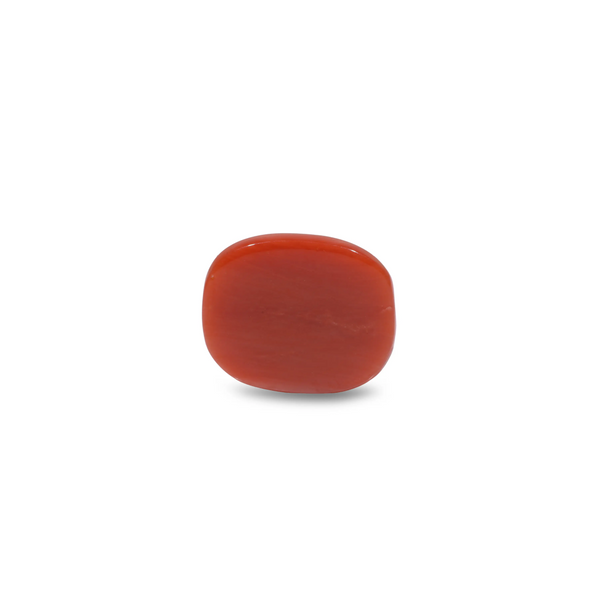 Red Coral - 11.55 Carat
