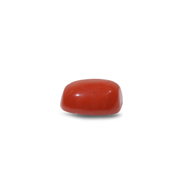 Red Coral - 11.55 Carat