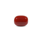 Red Coral - 9.6 Carat - Pramogh