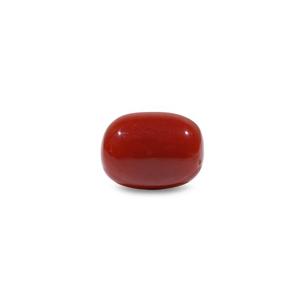 Red Coral - 9.6 Carat - Pramogh