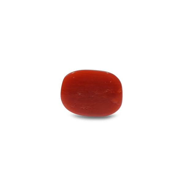 Red Coral - 9.6 Carat