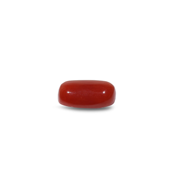 Red Coral - 9.6 Carat