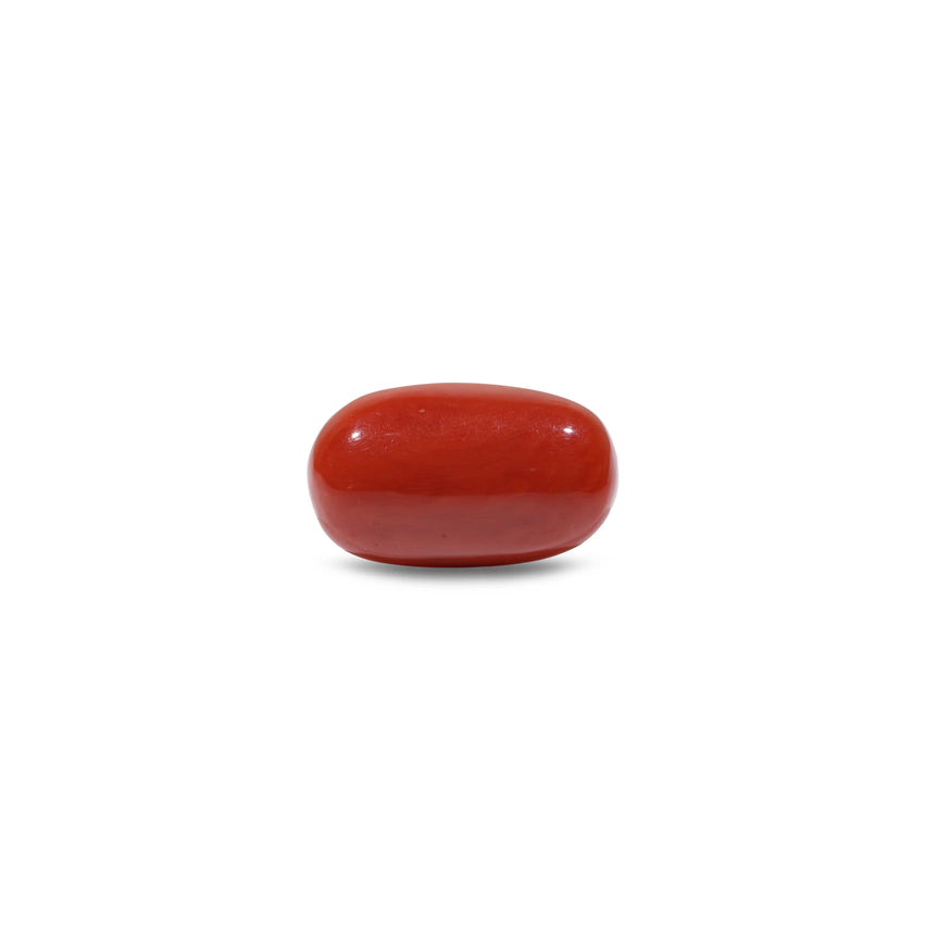 Red Coral - 10.1 Carat - Pramogh