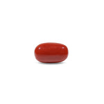 Red Coral - 10.1 Carat - Pramogh
