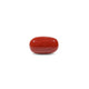 Red Coral - 10.1 Carat - Pramogh