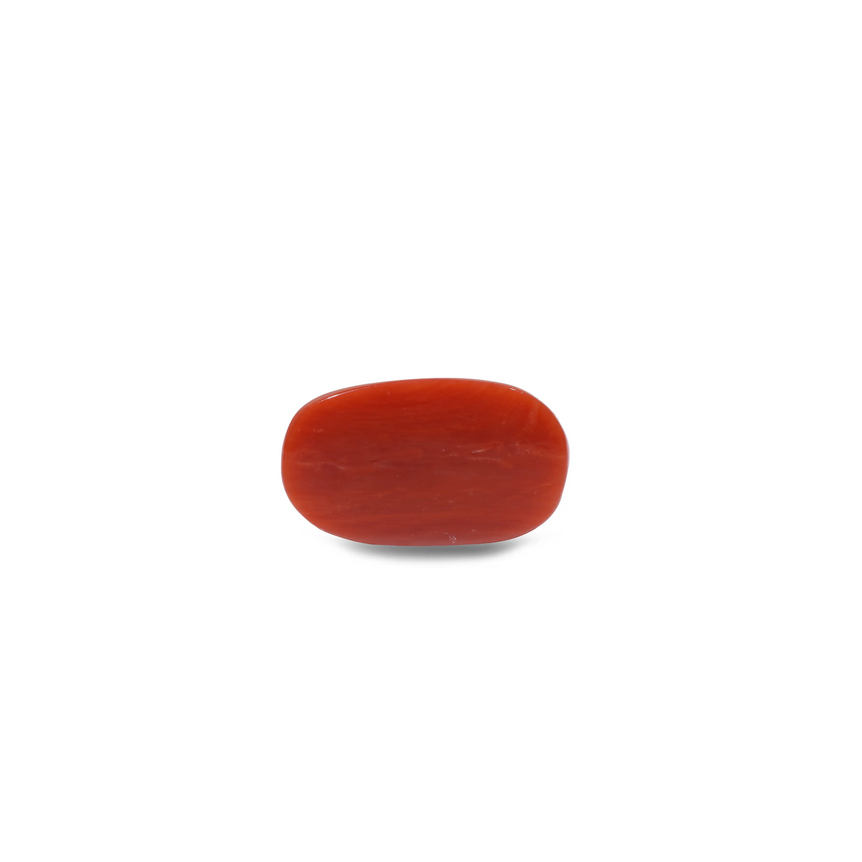 Red Coral - 10.1 Carat